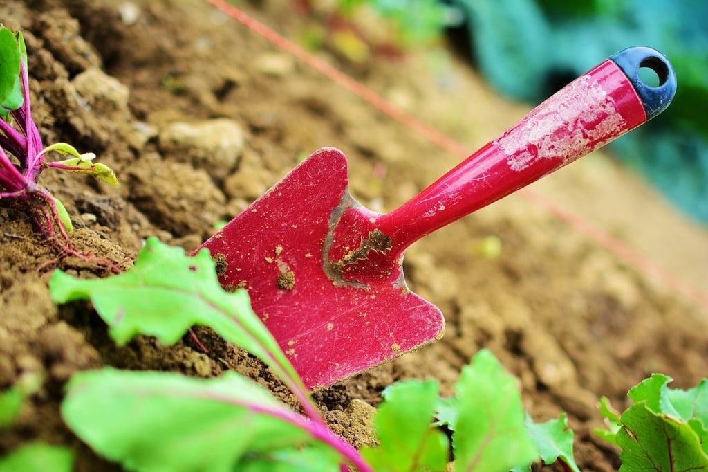 Les secrets d'un jardinage réussi dans des sacs de culture