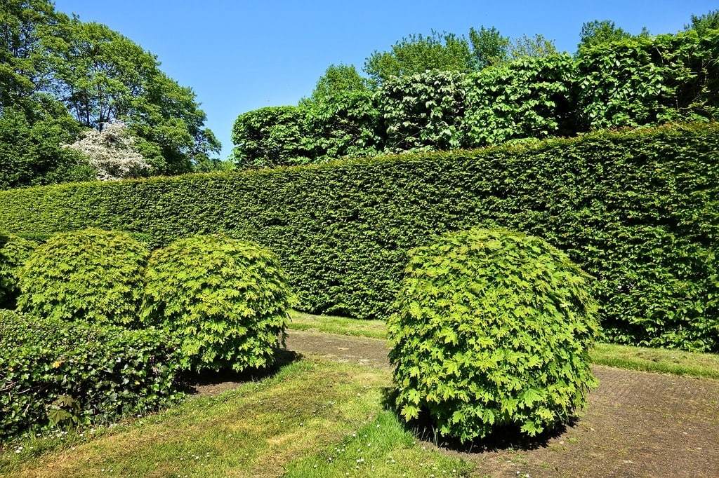 Les critères pour choisir un paysagiste pour son jardin